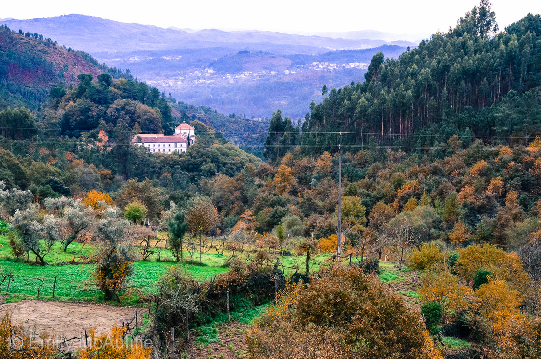 Autumn in central Portugal